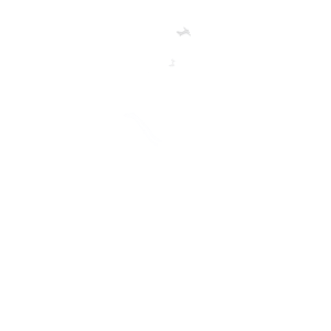 Видавництво «Кліо»